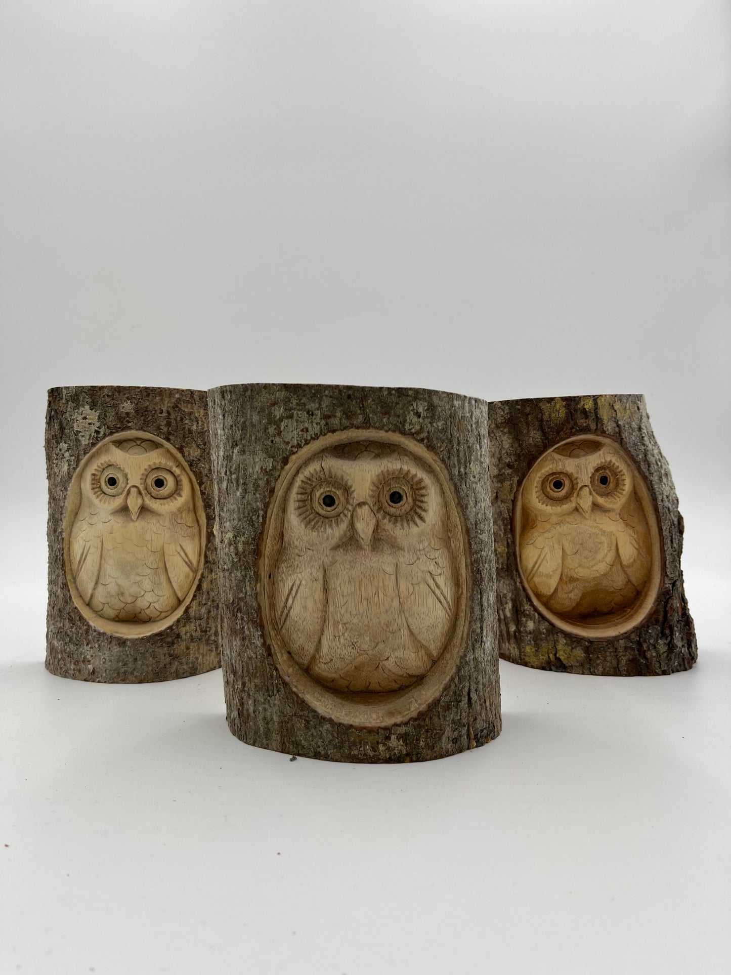 Half Log - Owl