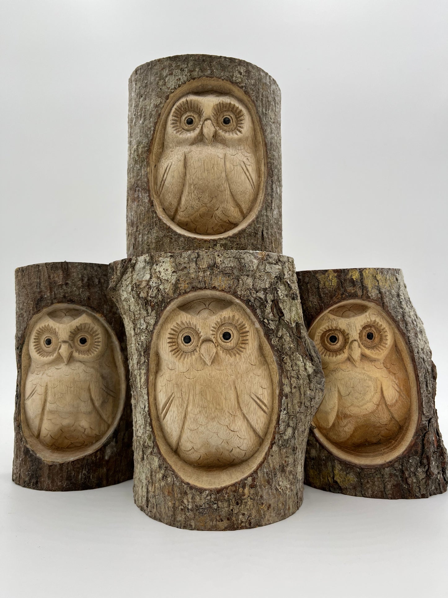 Half Log - Owl