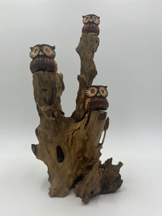 Owl On Root